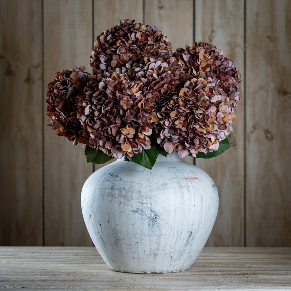 Autumn Hydrangeas