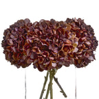 Autumn Hydrangeas