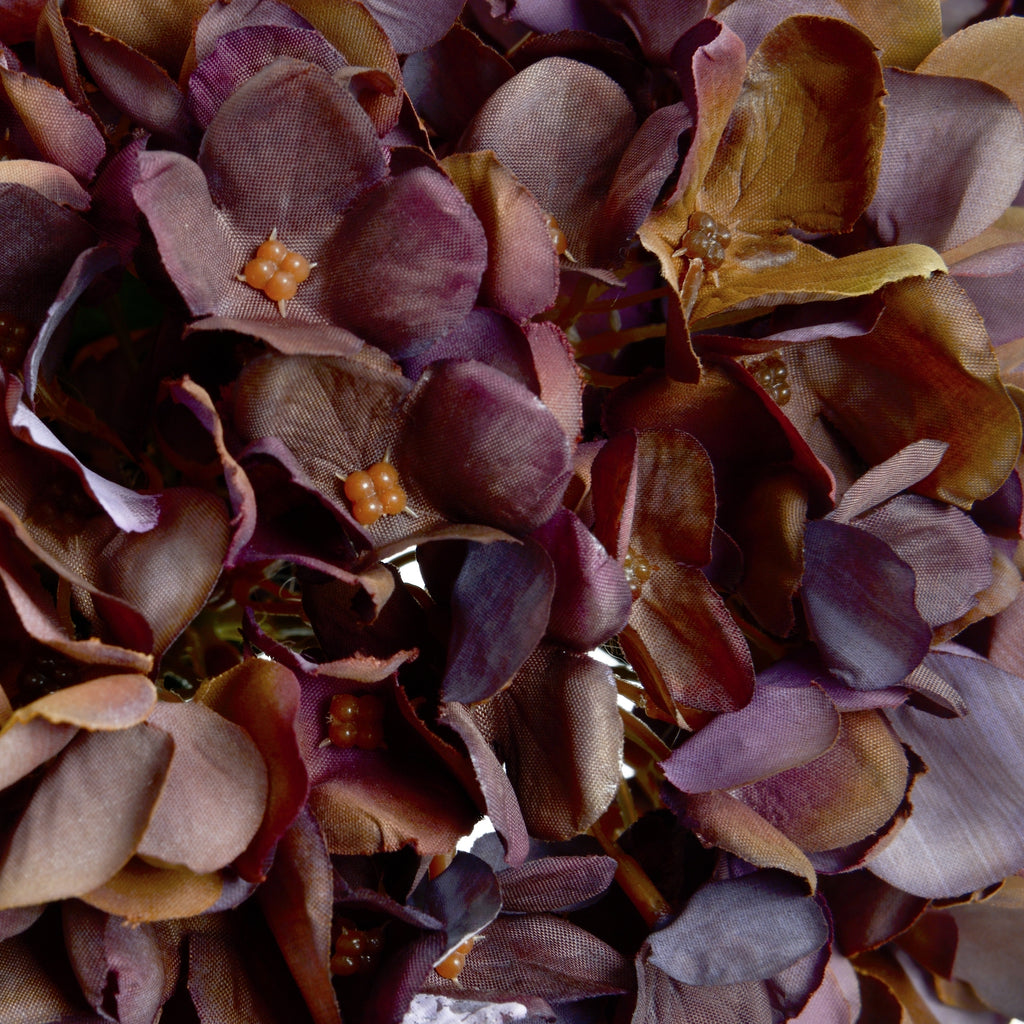 Autumn Hydrangeas