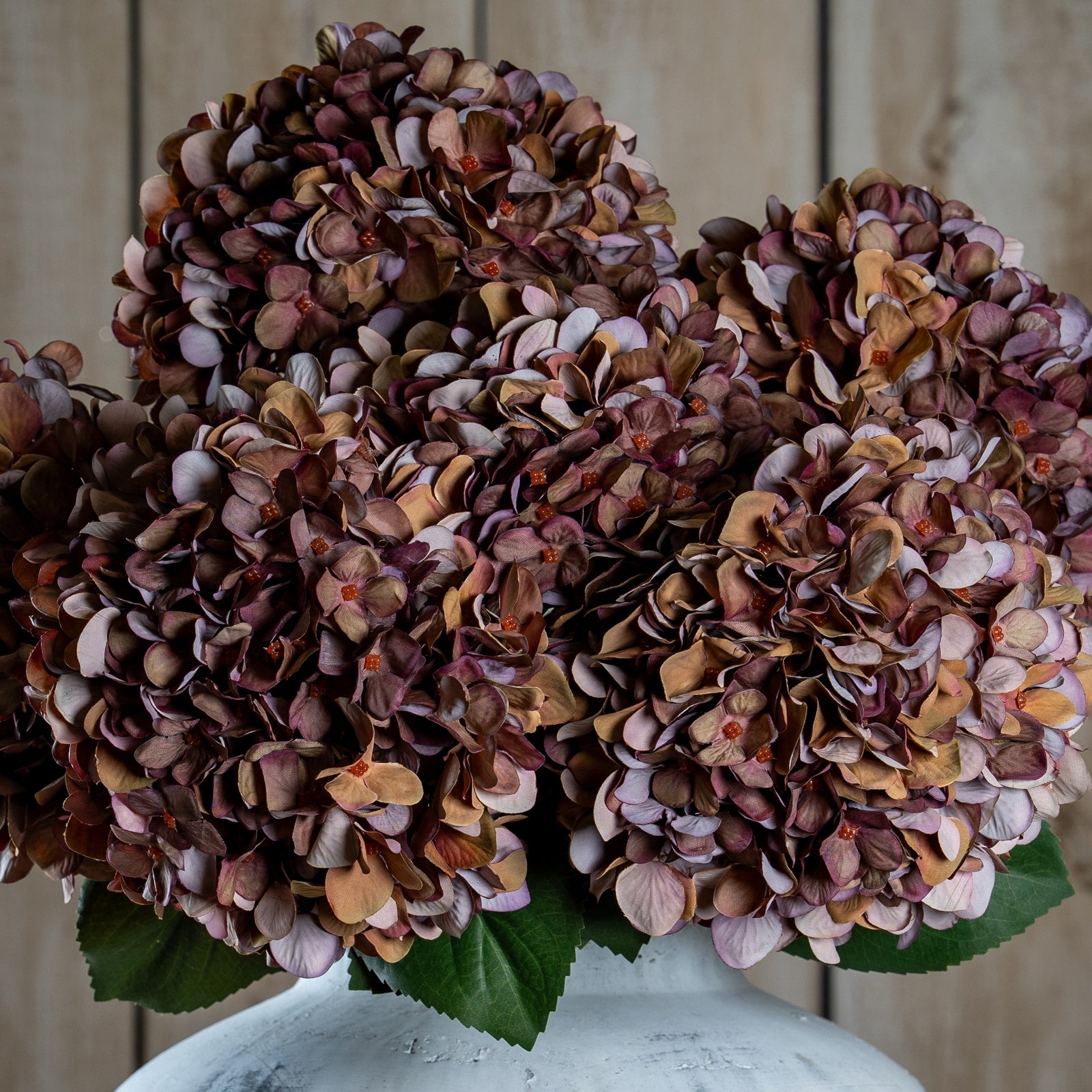 Autumn Hydrangeas