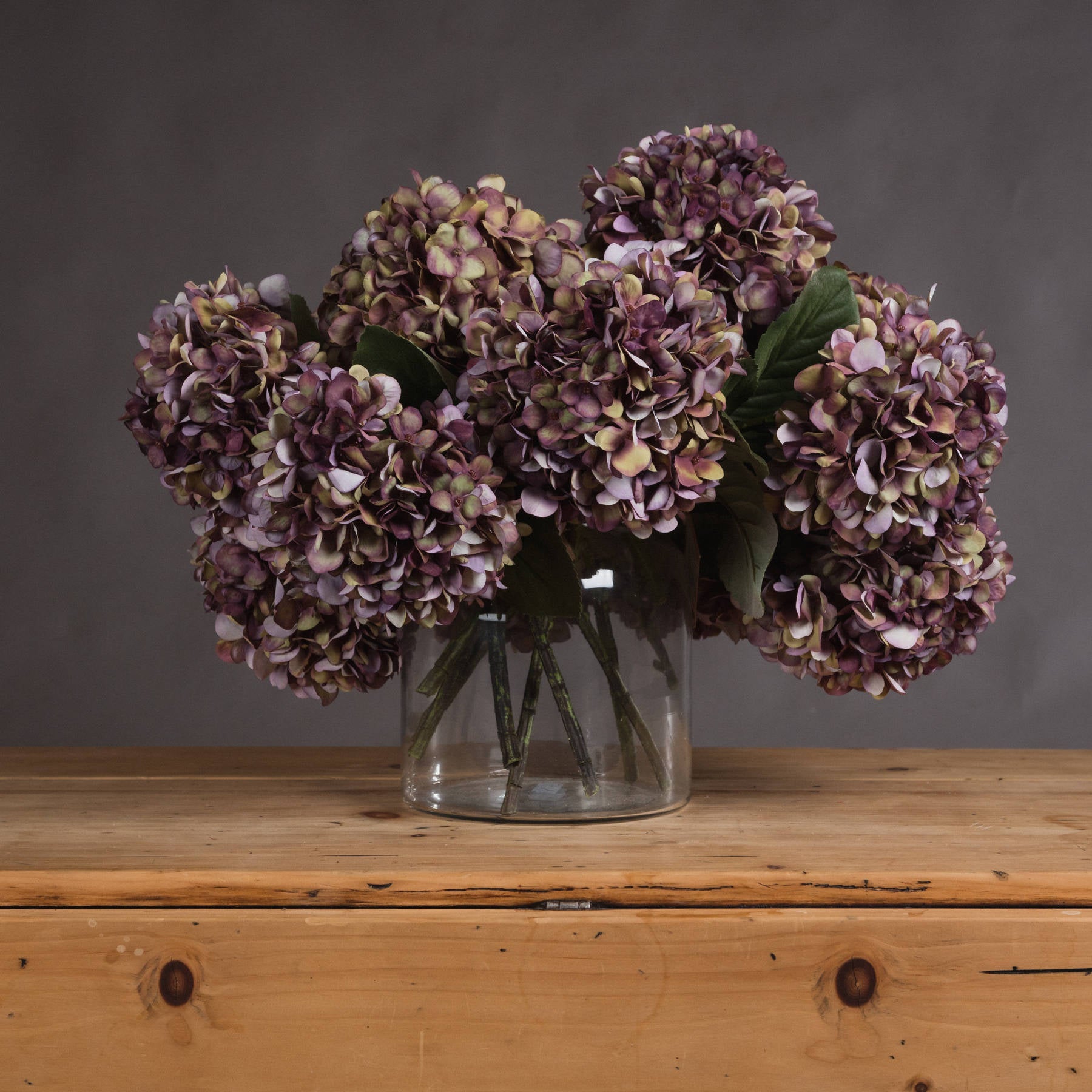Autumn Hydrangeas