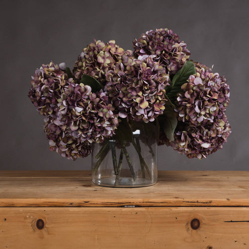 Autumn Hydrangeas