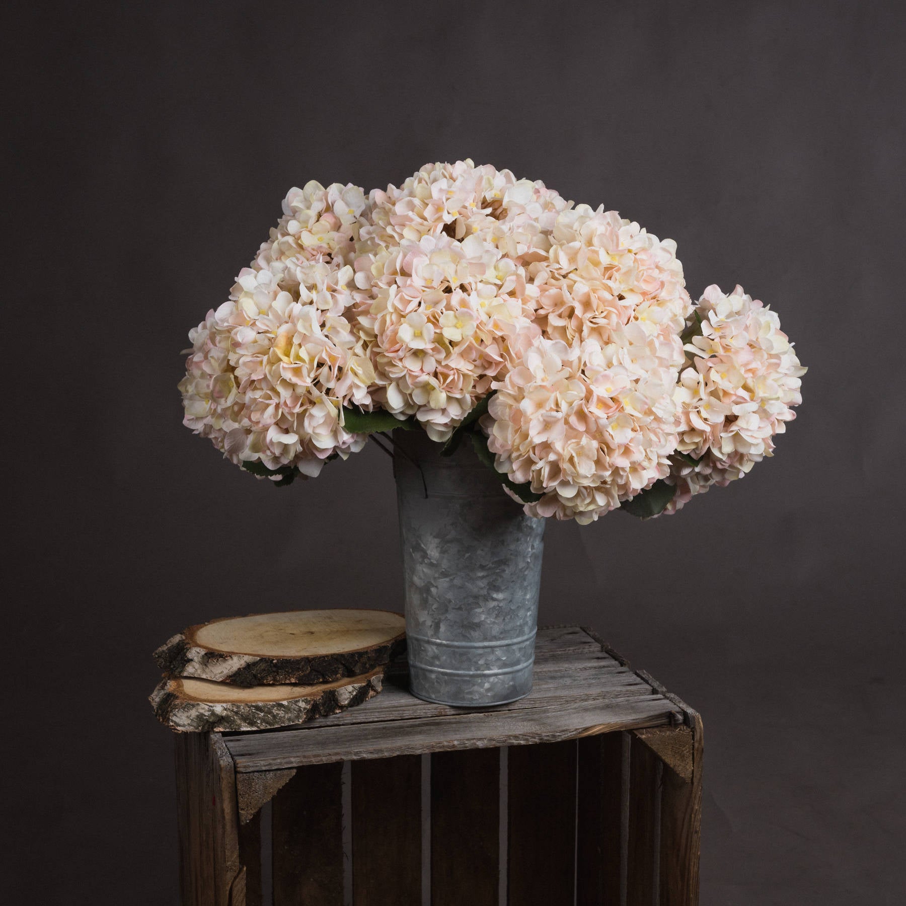 Autumn Hydrangeas