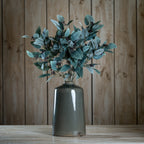 Seeded Eucalyptus Stem