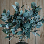 Seeded Eucalyptus Stem