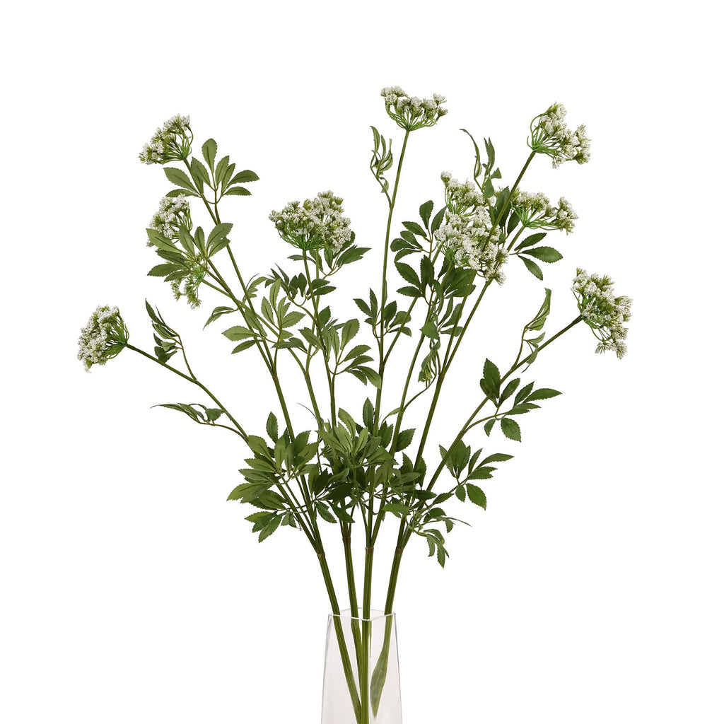 Faux Cow Parsley Ammi