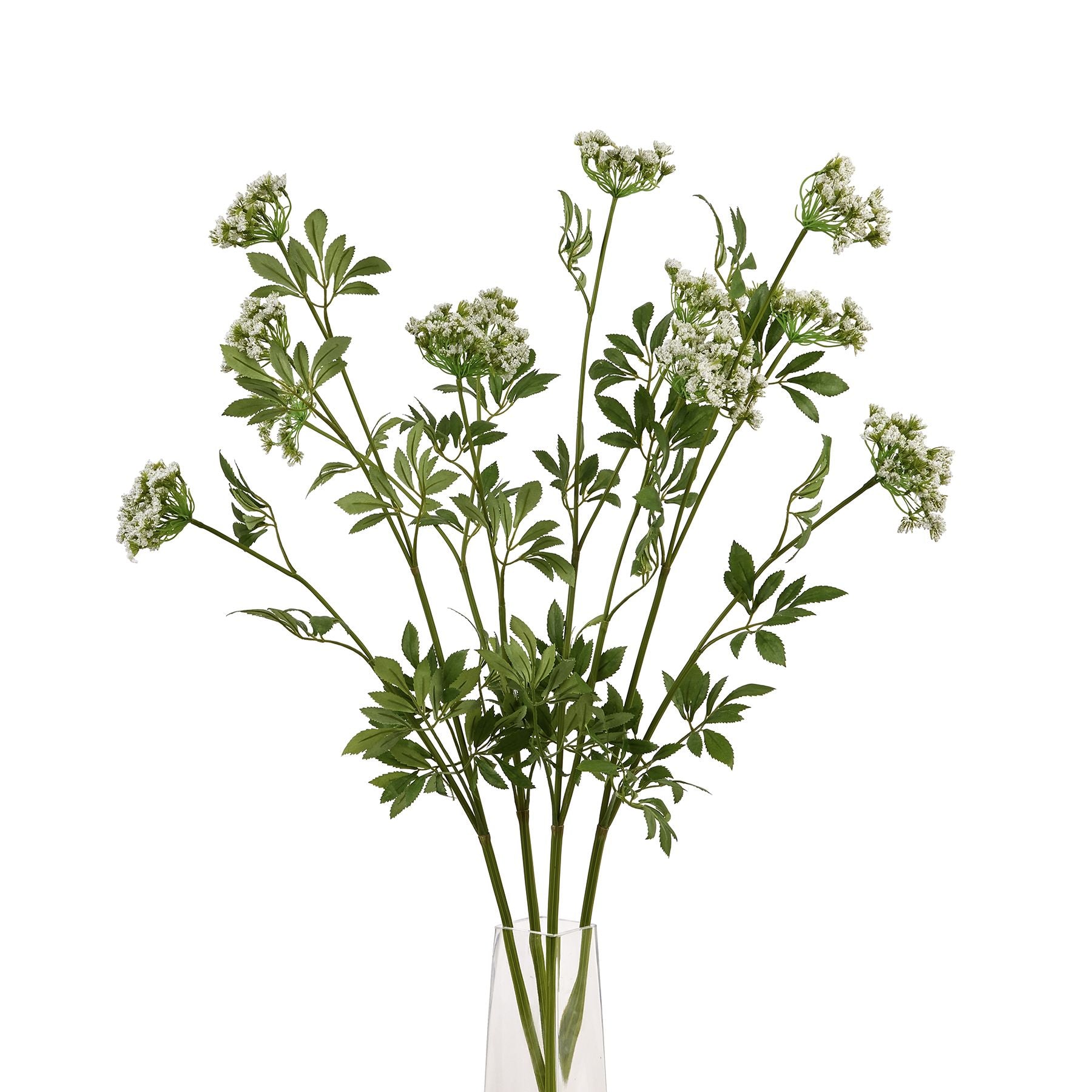 Faux Cow Parsley Ammi